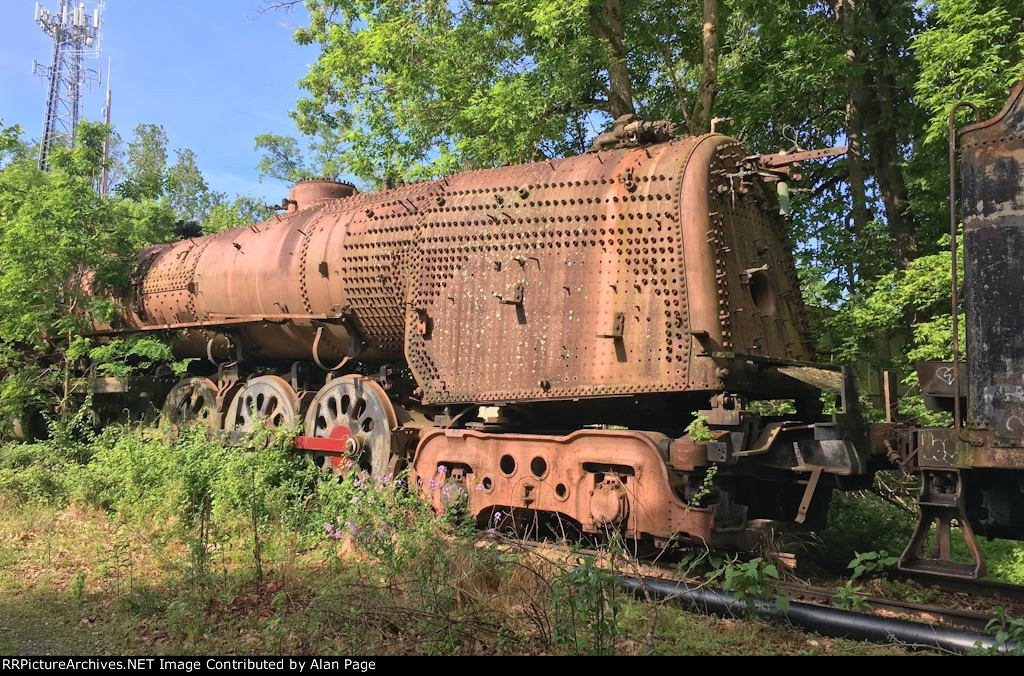 Ex NDEM ALCO 4-8-4 Niagara 3028 in weeds